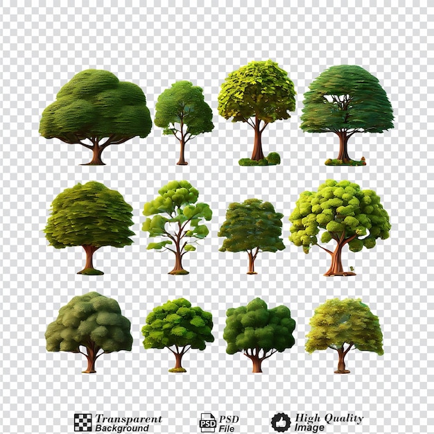 Raccolta di alberi isolati su uno sfondo trasparente
