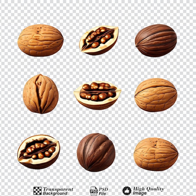 Collection set of walnuts isolated on transparent background