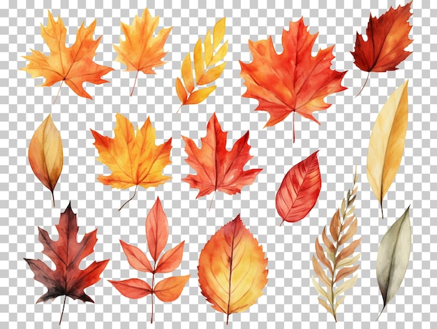 PSD collection set of watercolor autumn leafs isolated on transparent background png psd