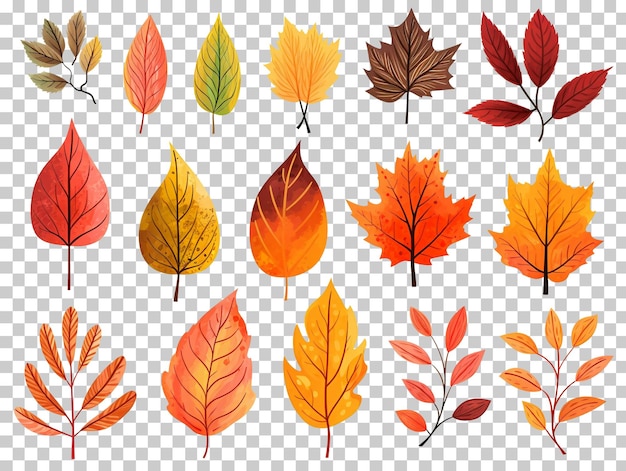 PSD collection set of watercolor autumn leaves isolated on transparent background png psd