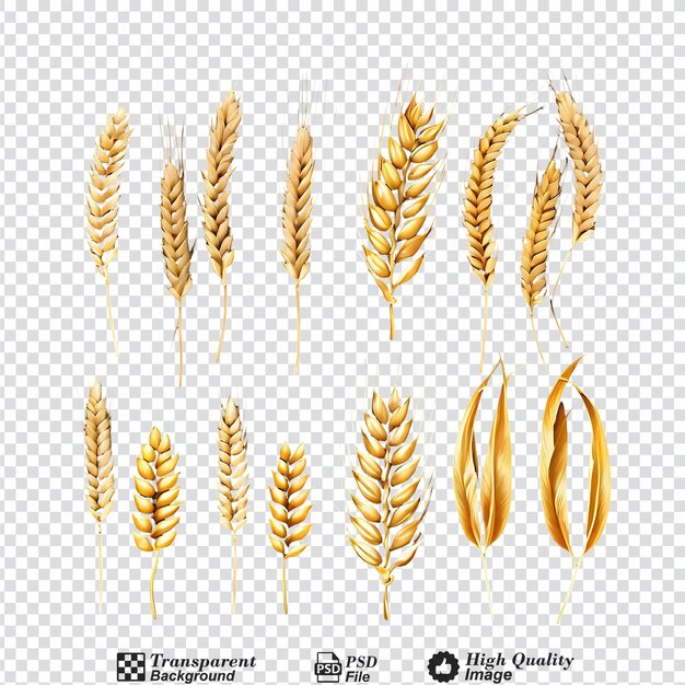 PSD collection set of wheat ears isolated on transparent background