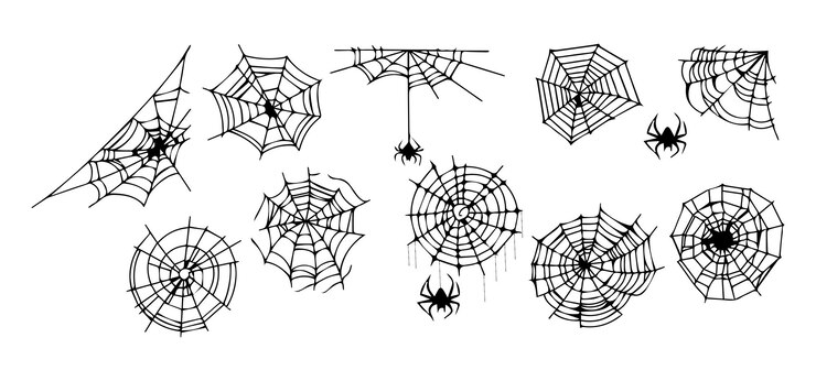 PSD collection of spider webs and spiders isolated on white background