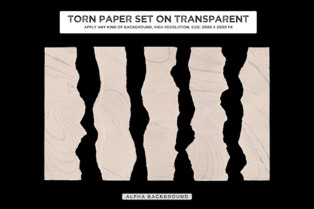 Collection of torn ripped paper sheets