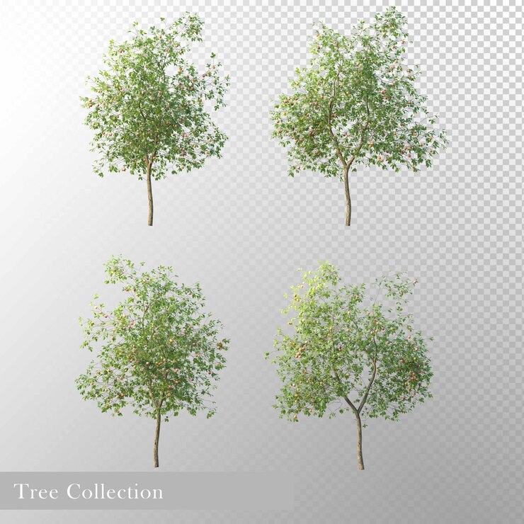 PSD a collection of trees from the collection of various sizes