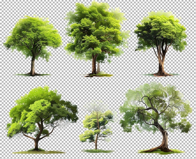 PSD collezione di alberi