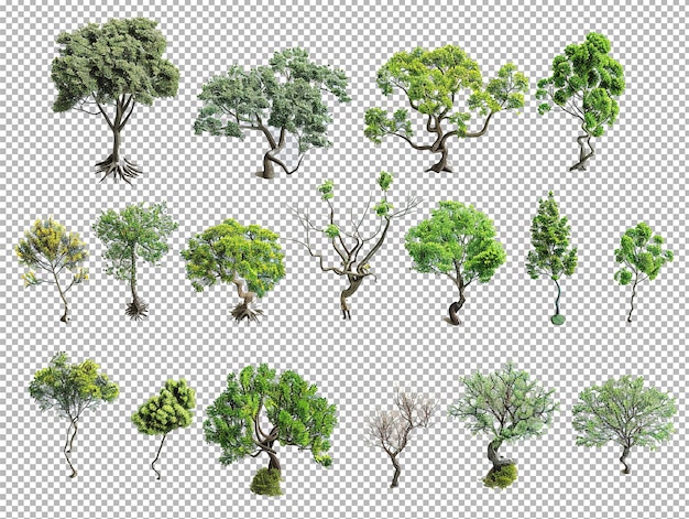 PSD collection of trees