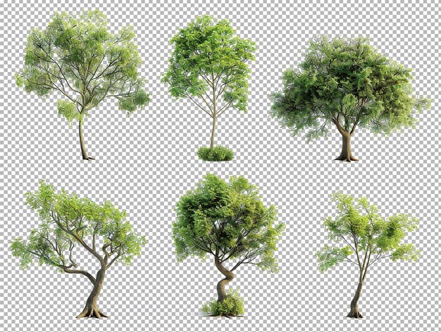 PSD collection of trees