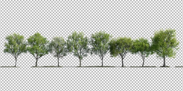 PSD collection of trees