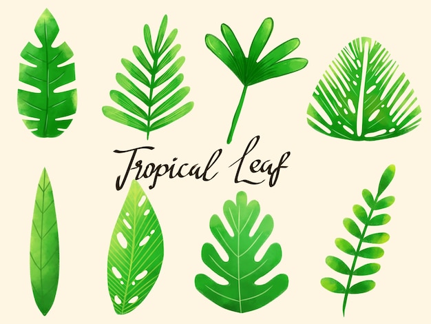 a collection of watercolor style tropical spring green foliage graphic elements