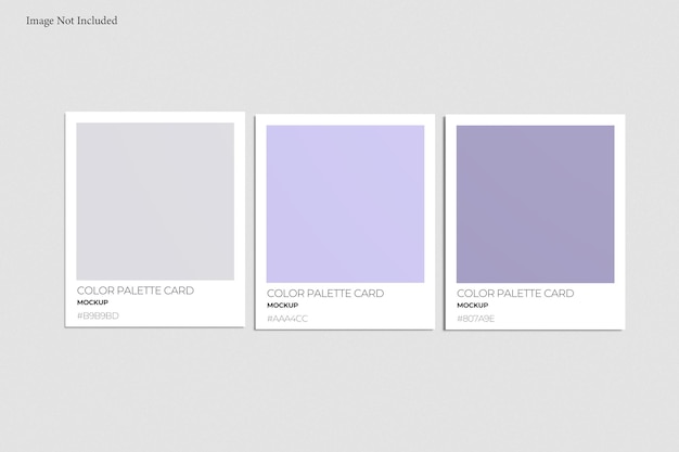 color palette mockup