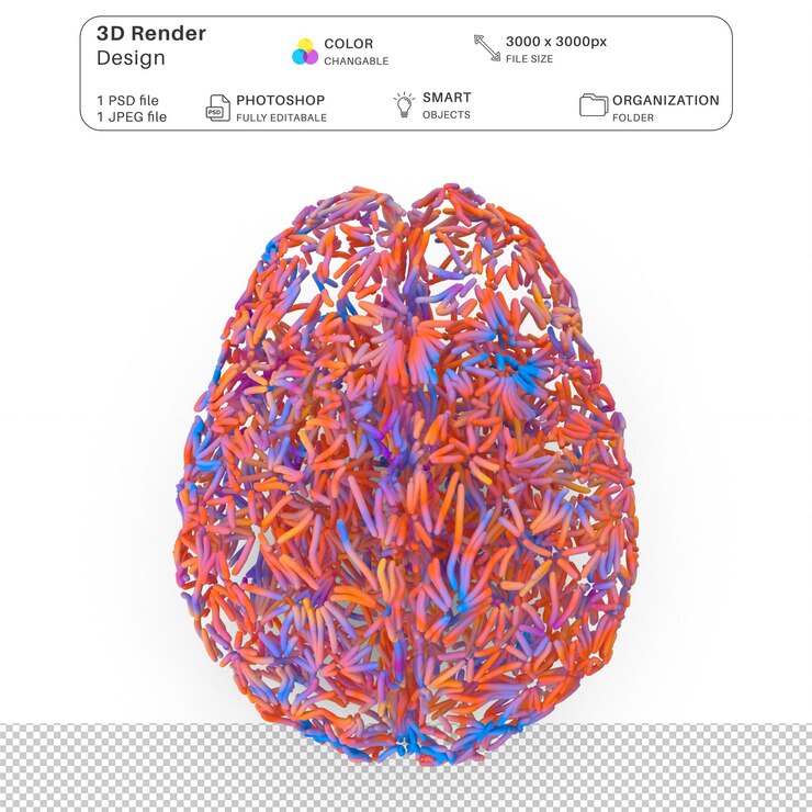 PSD colorful brain 3d modeling psd file realistic human anatomy