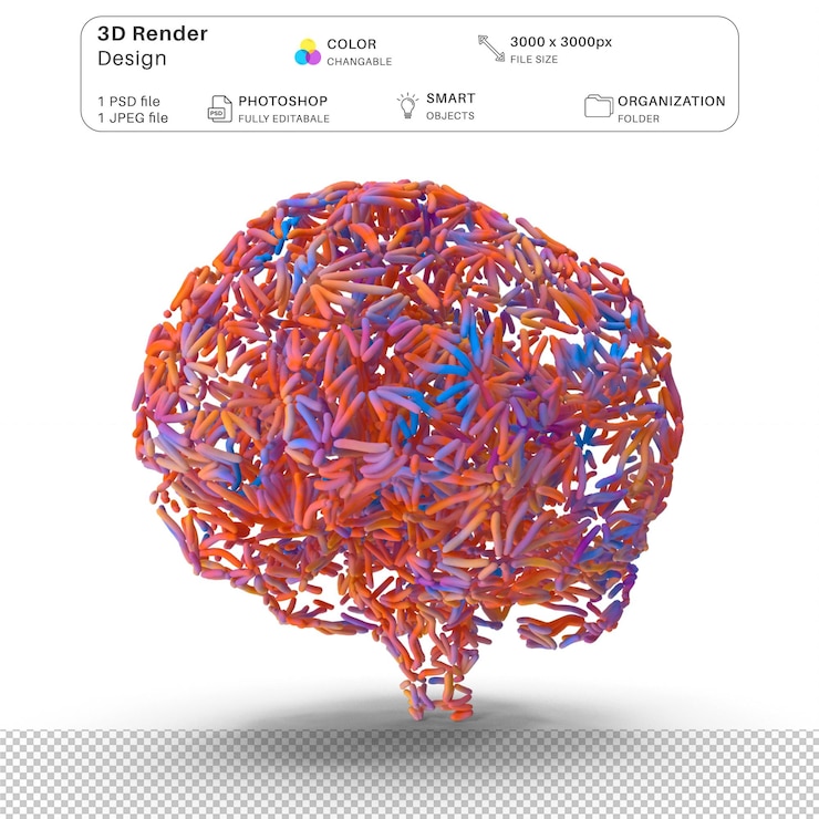 PSD colorful brain 3d modeling psd file realistic human anatomy