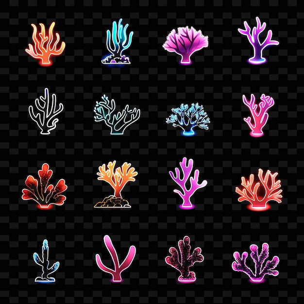 A colorful display of flowers and plants with a black background