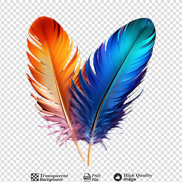 PSD colorful feather isolated on transparent background