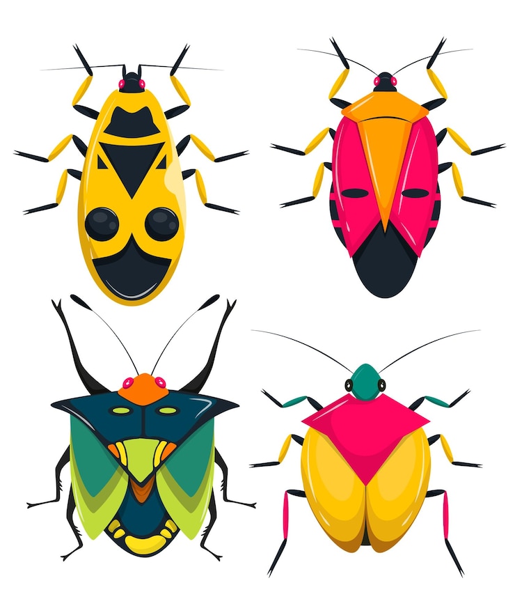 PSD colorful flat insect collection