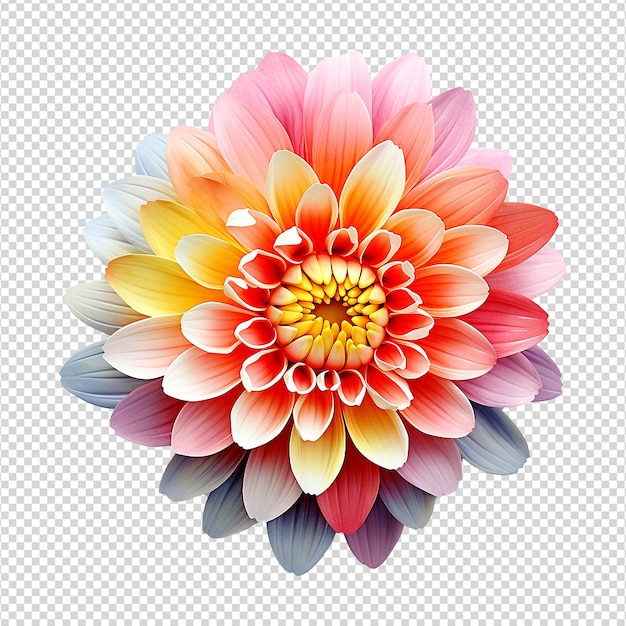 투명한 배경 에 분리 된 다채로운 꽃 Png