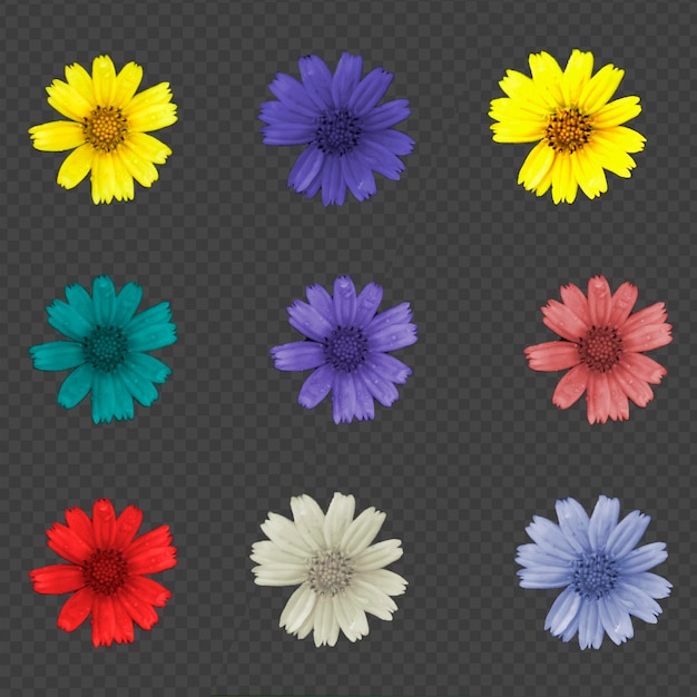 Colorful flowers isolated background psd