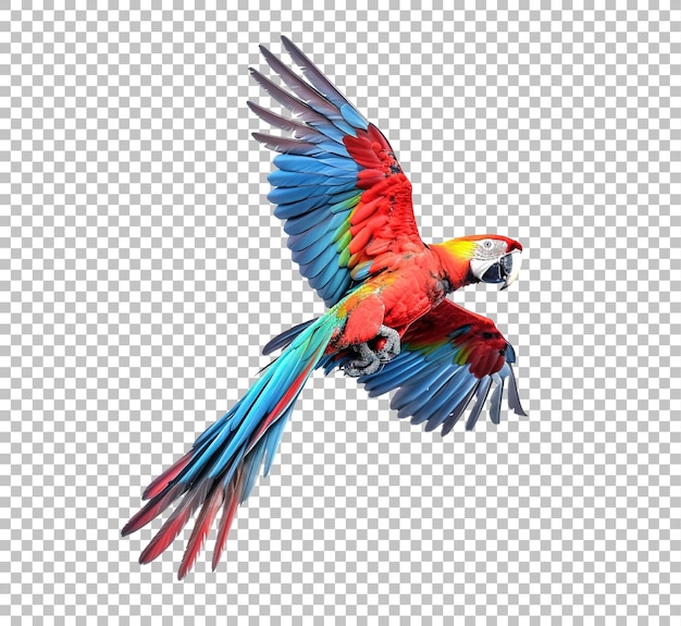 PSD colorful flying parrot isolated on white background scarlet macaw parrot flying isolated on white