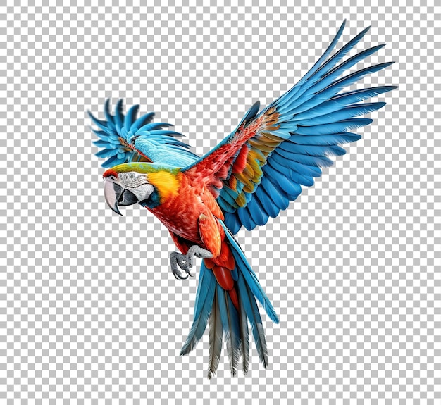 PSD colorful flying parrot isolated on white background scarlet macaw parrot flying isolated on white