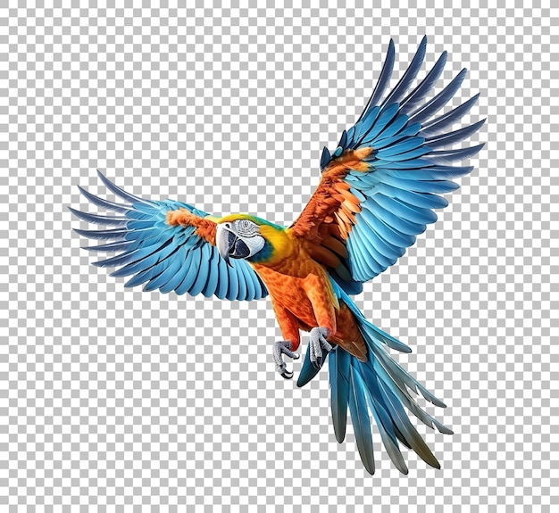 PSD colorful flying parrot isolated on white background scarlet macaw parrot flying isolated on white