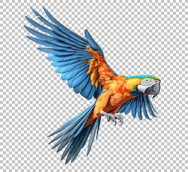 PSD pappagallo volante colorato isolato su sfondo bianco pappagallo macao scarlatto volante isolato su bianco.