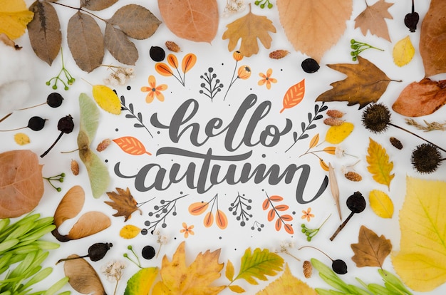 colorful leaves surrounding hello autumn lettering