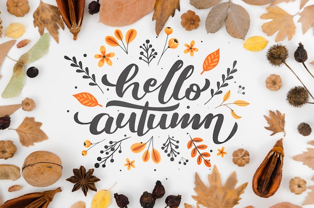 Colorful leaves surrounding hello autumn lettering