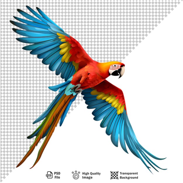 PSD Красочный попугай ара, изолированный на прозрачном фоне