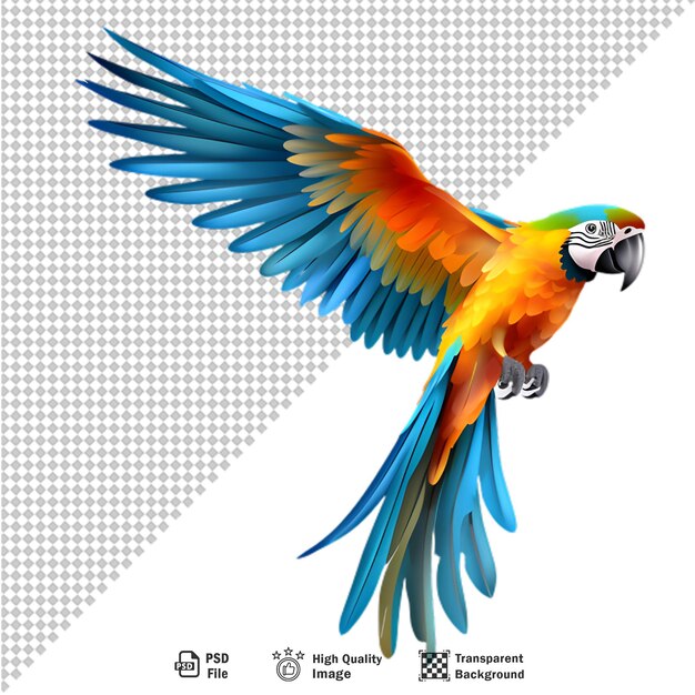 Colorful macaw parrot isolated on transparent background