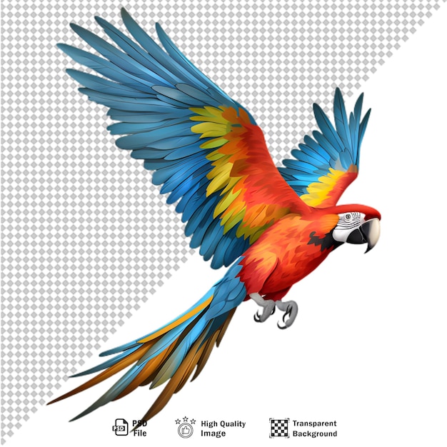 Un pappagallo colorato isolato su uno sfondo trasparente
