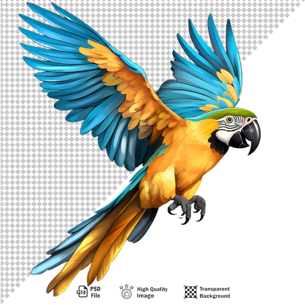 PSD colorful macaw parrot isolated on transparent background