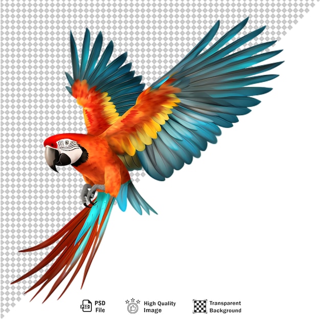 Colorful macaw parrot isolated on transparent background