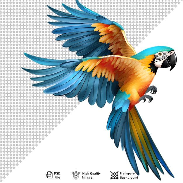 PSD colorful macaw parrot isolated on transparent background