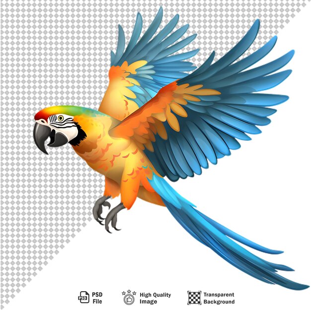 PSD colorful macaw parrot isolated on transparent background