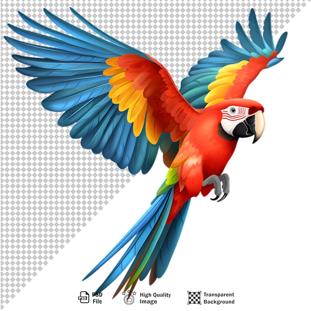 PSD un pappagallo colorato isolato su uno sfondo trasparente