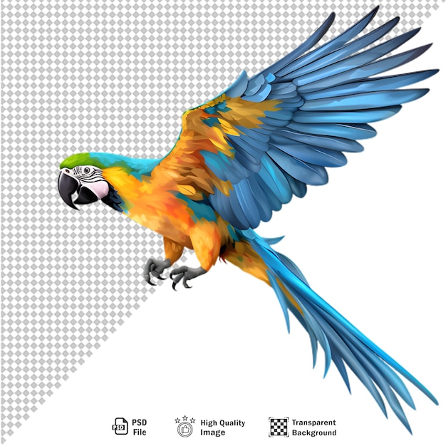 PSD un pappagallo colorato isolato su uno sfondo trasparente