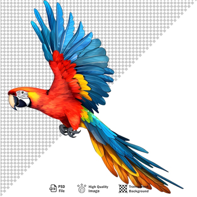 Colorful macaw parrot isolated on transparent background