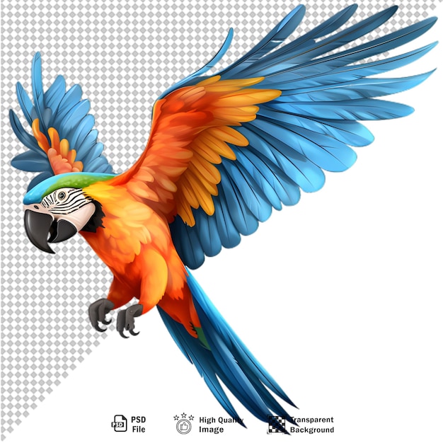 PSD colorful macaw parrot isolated on transparent background