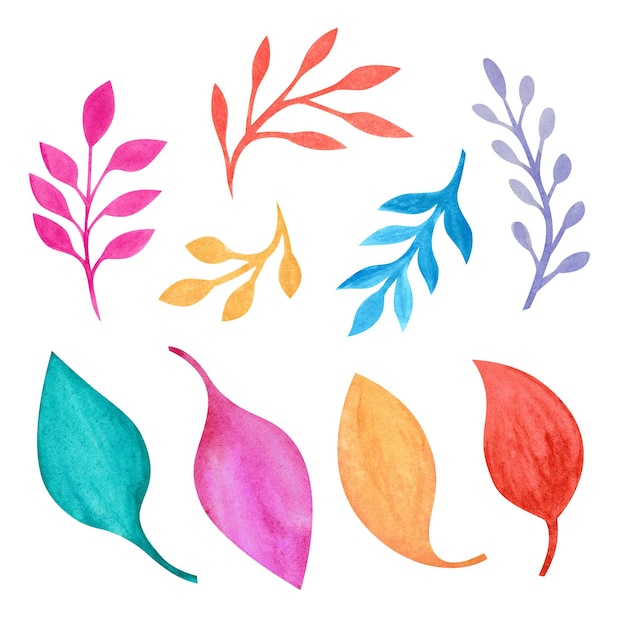 Colorful rustic style leaf and plant branch decoration