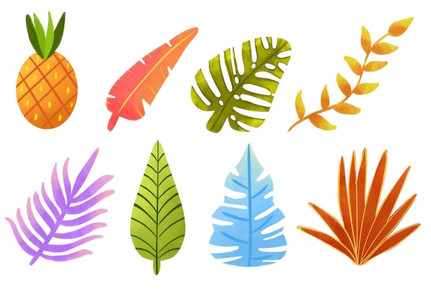 a colorful set of colorful tropical plants and leaves