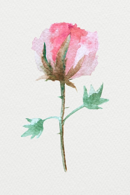PSD colorful watercolor natural flower illustration