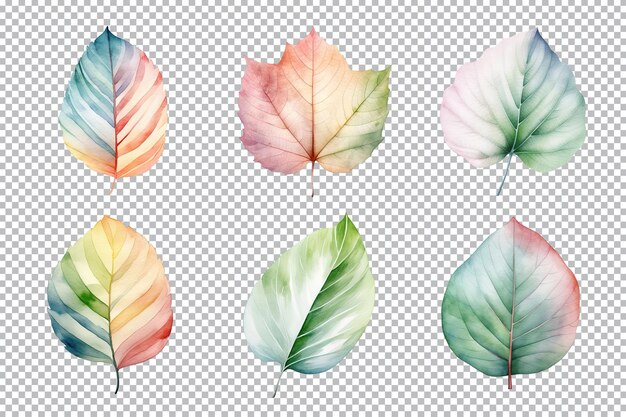 PSD colorful watercolor pastel leaves elements collection isolated on transparent background