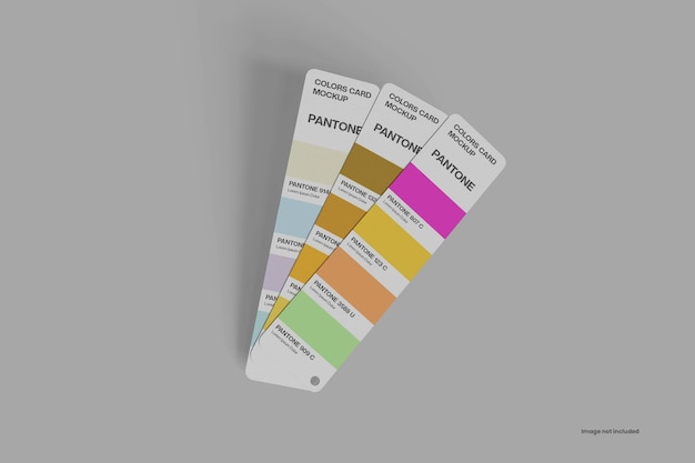 Colors Card Mockup