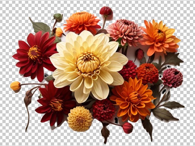 PSD colour full flower png