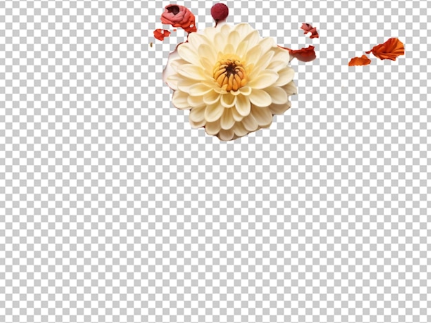 Colour full flower png