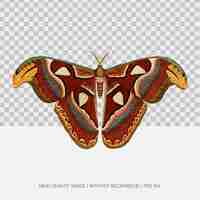 PSD colourful vintage butterfly