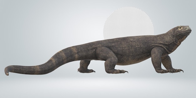 PSD comodo dragon isolated on a transparent background