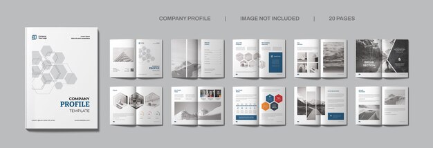 PSD company profile