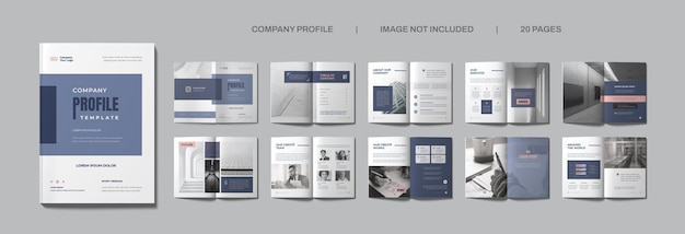 PSD company profile