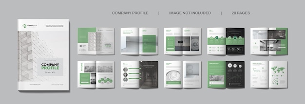 PSD company profile